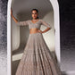 DULL BROWN AND SILVER CHARLOTTE LEHENGA SET